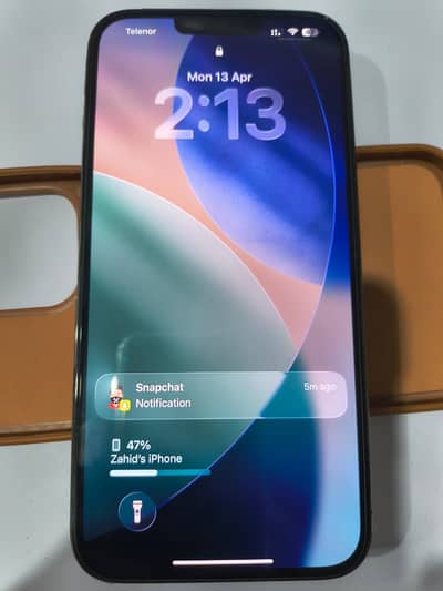 Apple iPhone 13 Pro Max