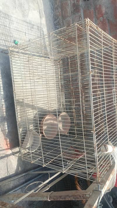 parrot cage