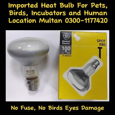 Heat Bulb for Incubator (No Fuse)