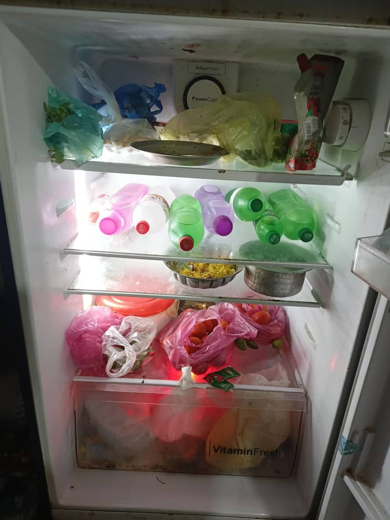 fridge 2
