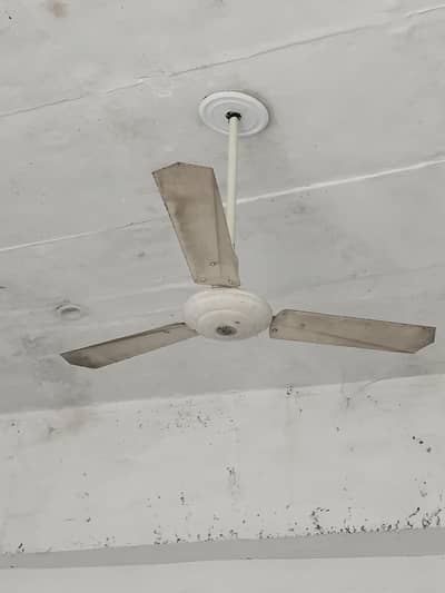 4 ceiling fans for sale 15000 contact 0322 6866004
