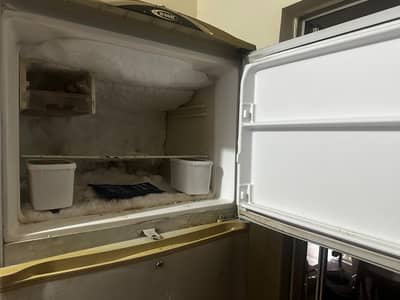 XL refrigerator for sale
