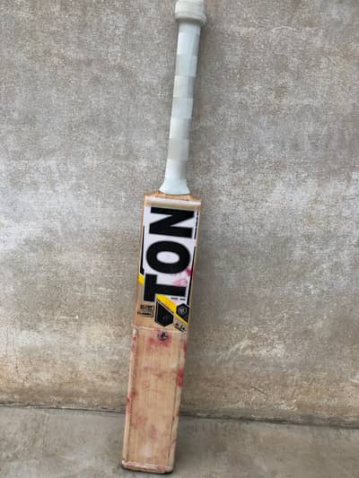 Bs RAPID 55 Cricket Bat