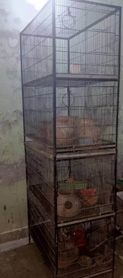 cage for sale
