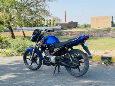 YBR 125