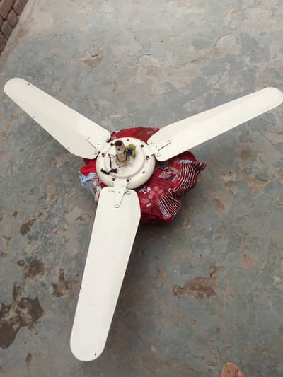 Celling Fan