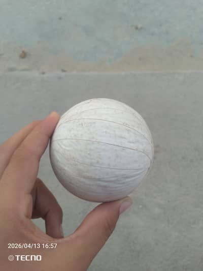 cricket ball