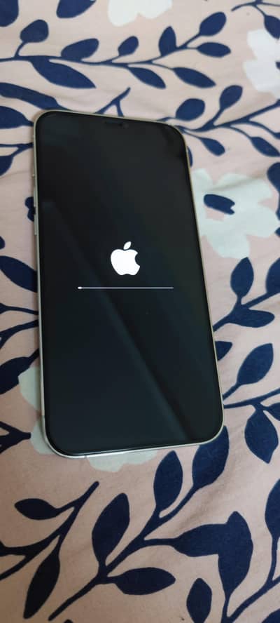 iPhone 12 pro max 128 gb dual sim PTA approved