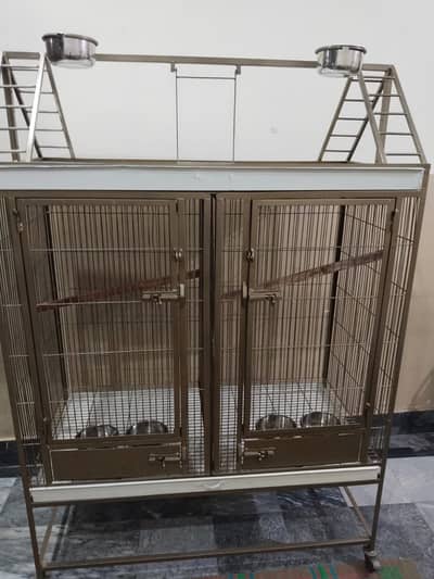 Cage parrot