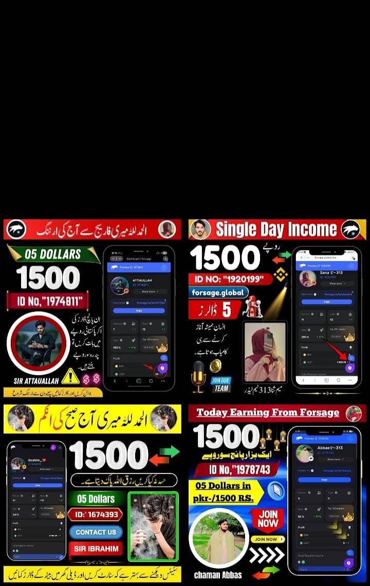 پاکستان میں رہتے ہوئے گھر بیٹھ کے پیسے کمانے کا سنہری موقع 2