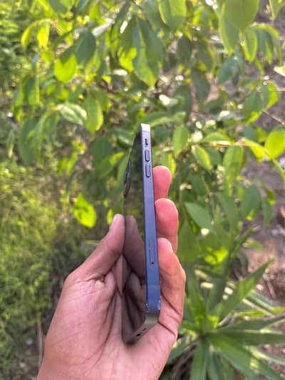 iPhone 12 Non Pta Waterpack 64 Gb