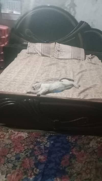 bed showcase dressing