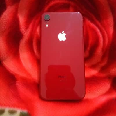 iphone xr never opened
