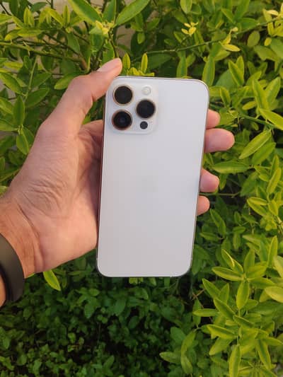 Iphone 13pro max bypass