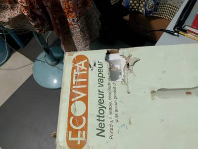 Ecovita instant steam cleaner