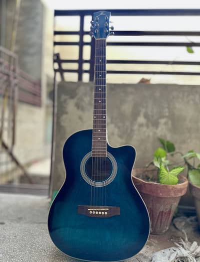 Acoustic Guitar