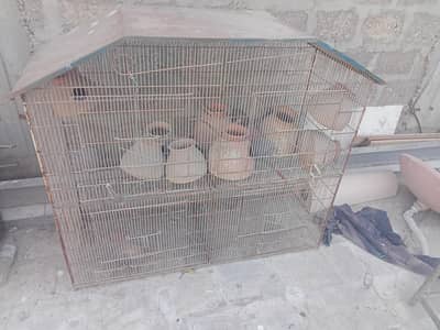 bird cage