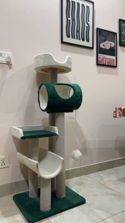 Cat Tree And scratch post