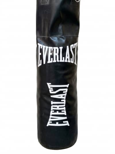 Everlast best quality punching bag