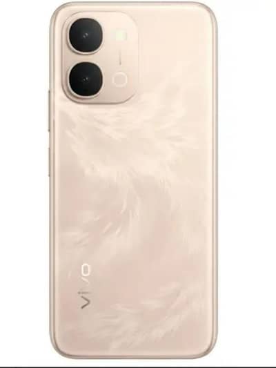 vivo y 31 d