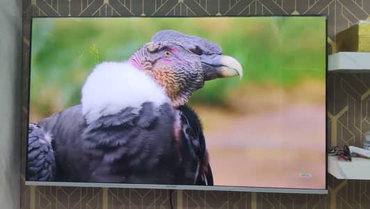 43 inch new box pack LED Tv 4k 3 year warranty all size available