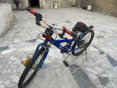 under budget Japani cycle