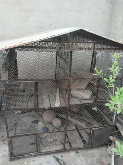 Hen cage For Sale