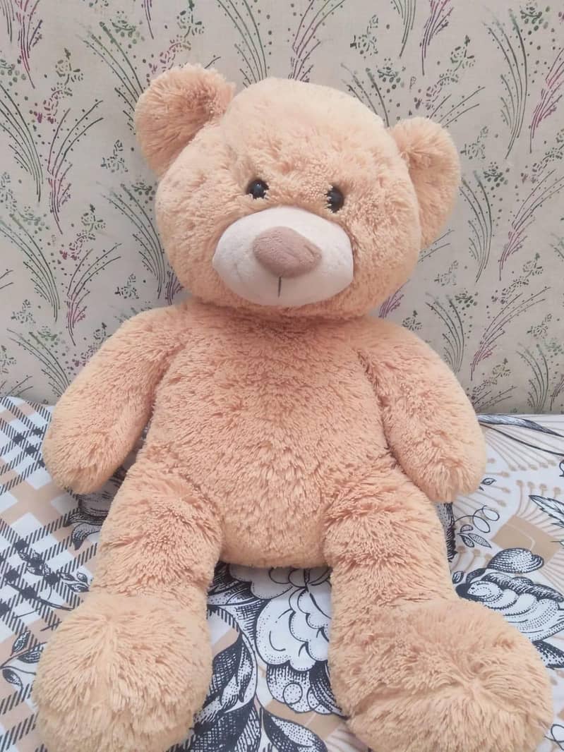 Teddy Bear 0