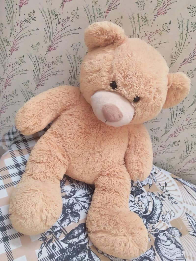 Teddy Bear 1