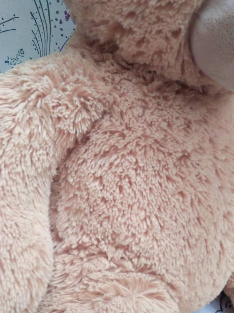 Teddy Bear 3