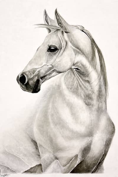 Horse painting