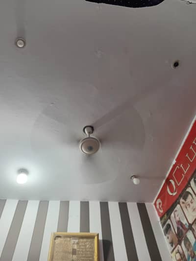 celing fan