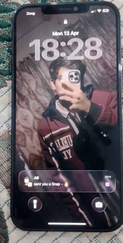 IPHONE 12 pro max pata approved