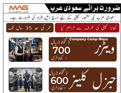 Saudia & Qatar work visa