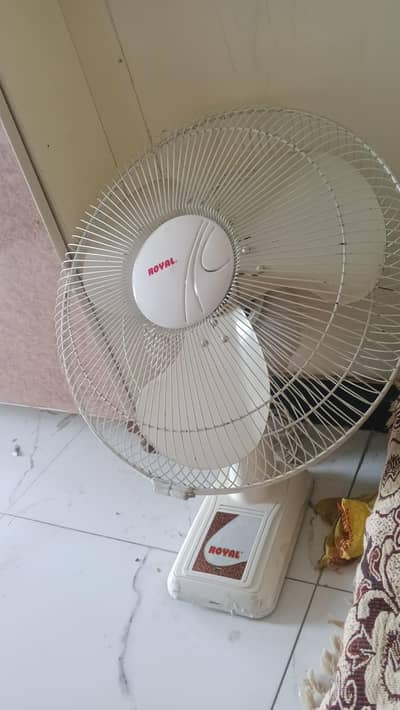 Royal Fans for Sale