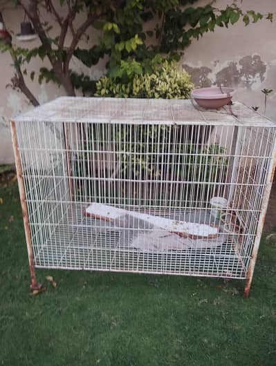 metal cage
