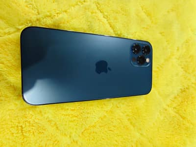 Wattshap number 03233215181