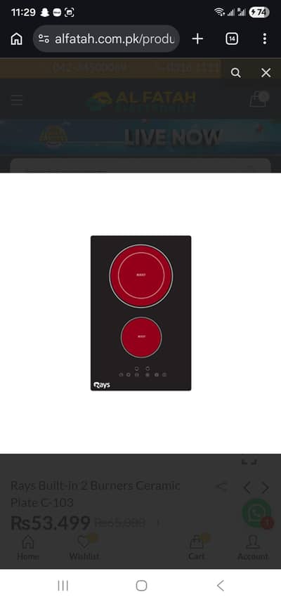 Rays Electric Hot Plate (Electric Chula)