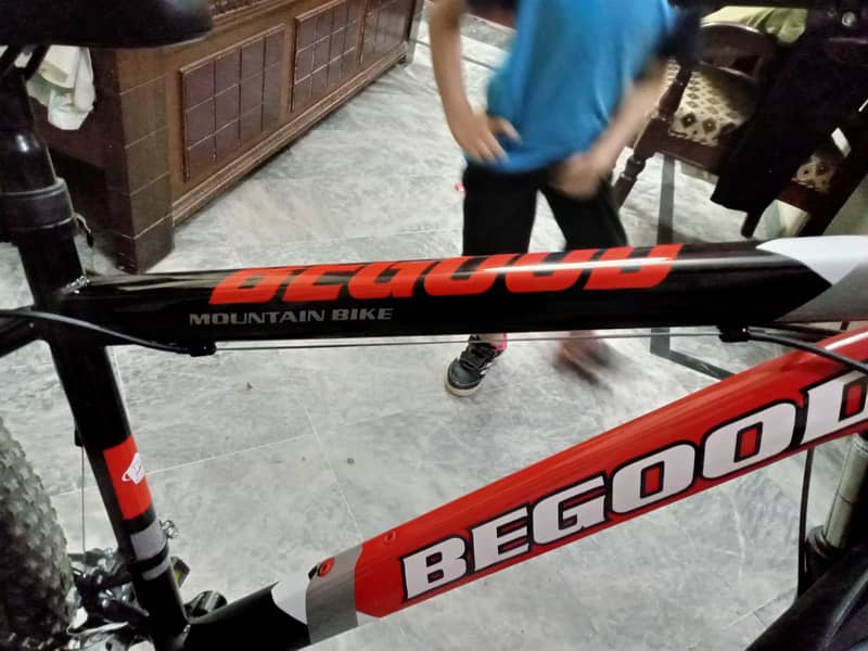 Begood cycle 1