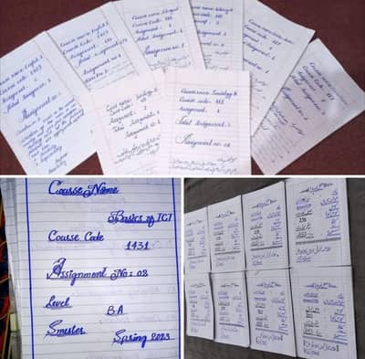 Hand Writting Assignement Work Avaiable