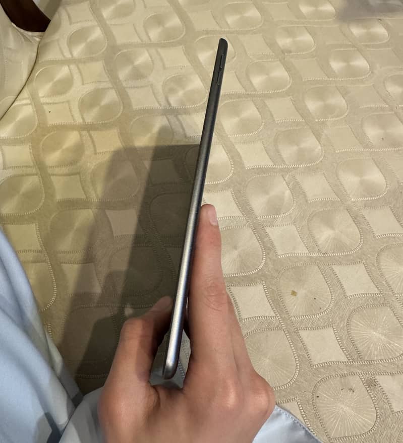 IPad mini 5 0