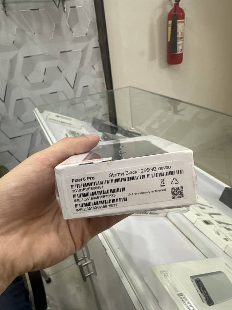 Pixel 6 pro 1