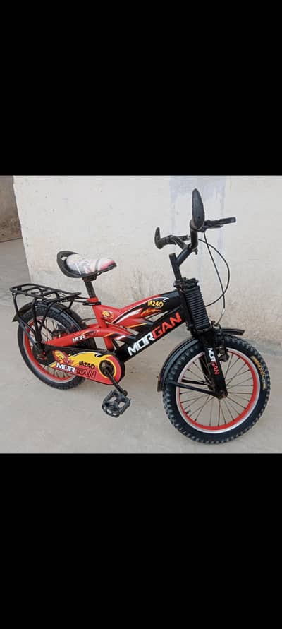 Morgan Mountain bike