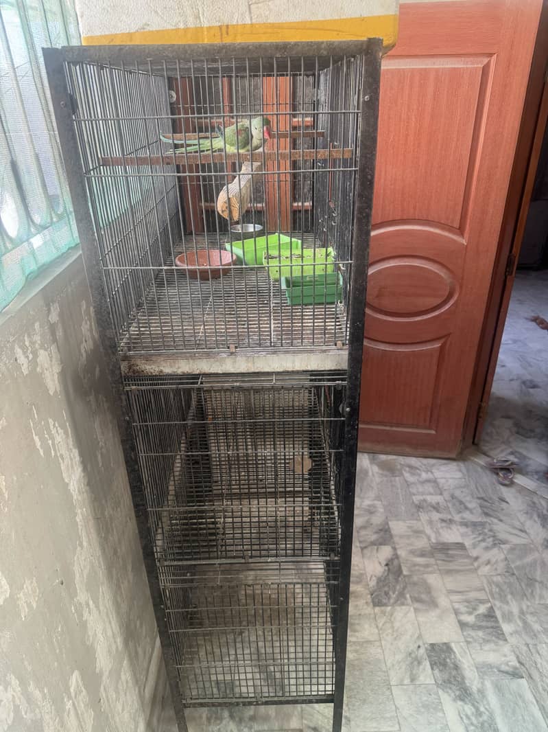 3 portion Angle cage foldable 5