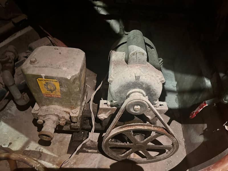 Golden Donkey Pump 1