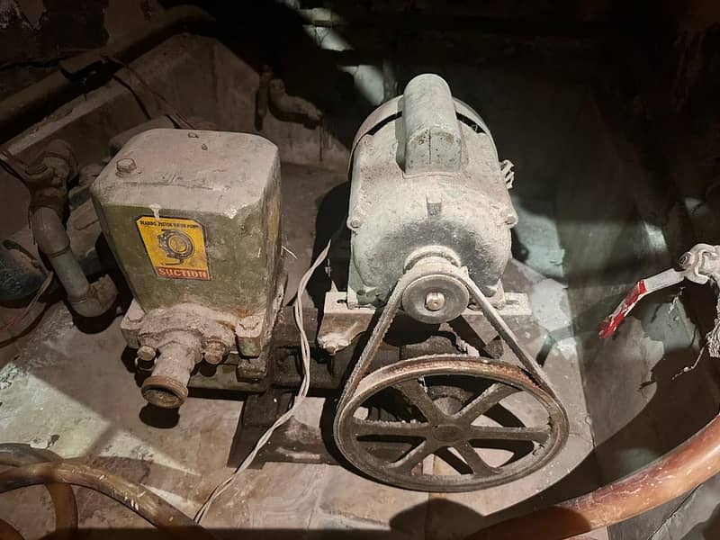 Golden Donkey Pump 2