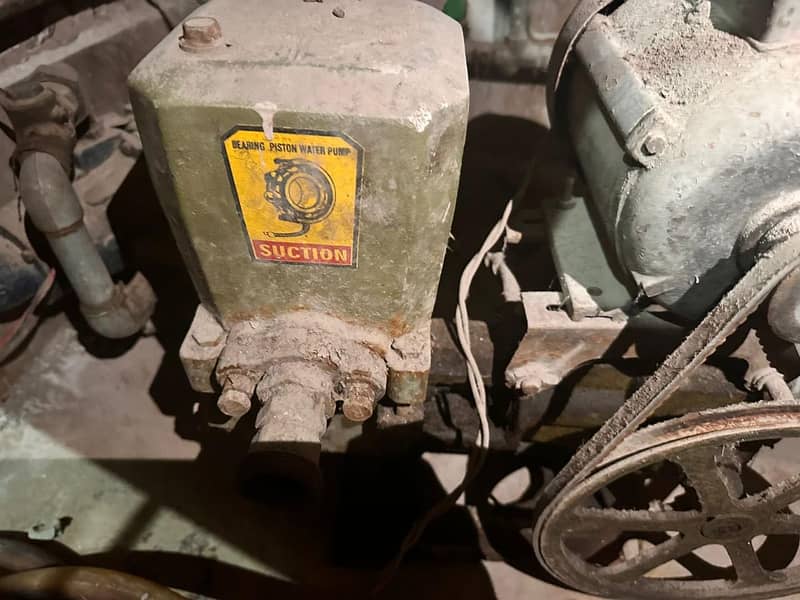 Golden Donkey Pump 3