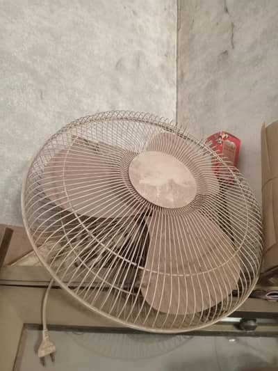 fan ok