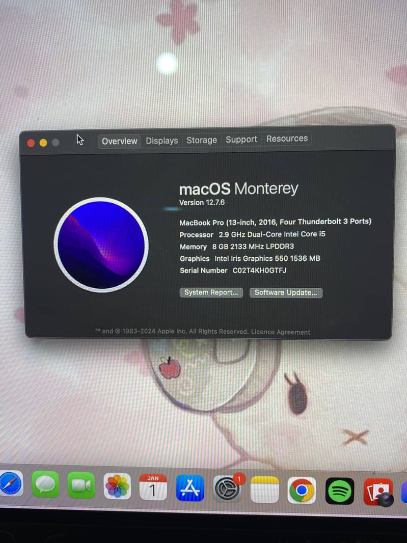 MacBook Pro 2016 13-Inch 9