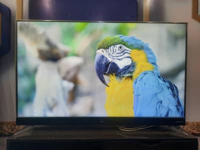 TCL 55" 4K Smart TV L55C2US – Harman Kardon Soundbar